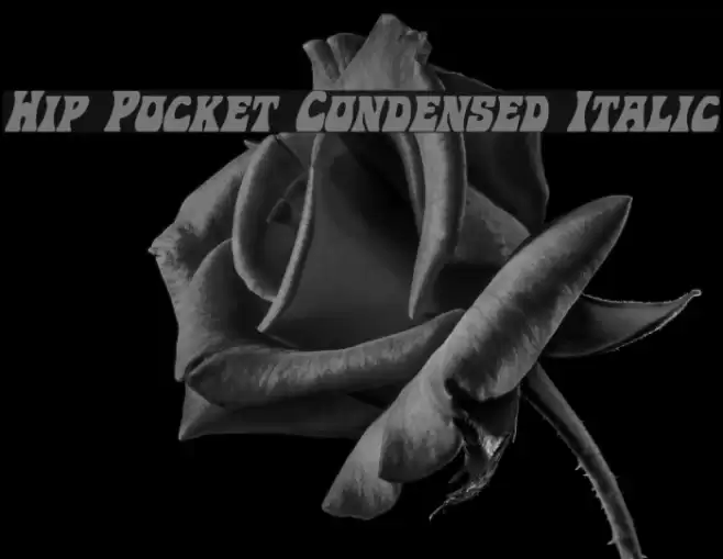Hip Pocket Condensed Italic Font examples