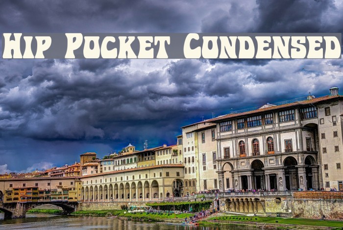 Hip Pocket Condensed Example 1