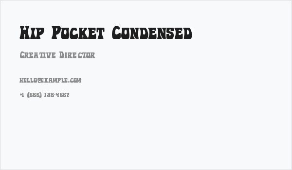 Hip Pocket Condensed Business Card