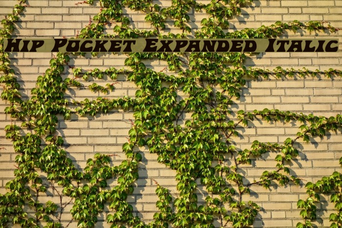 Hip Pocket Expanded Italic Font examples
