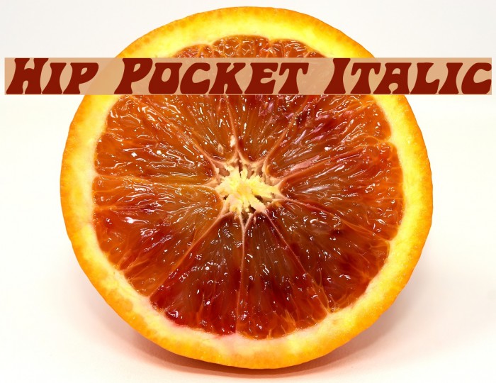 Hip Pocket Italic Font examples