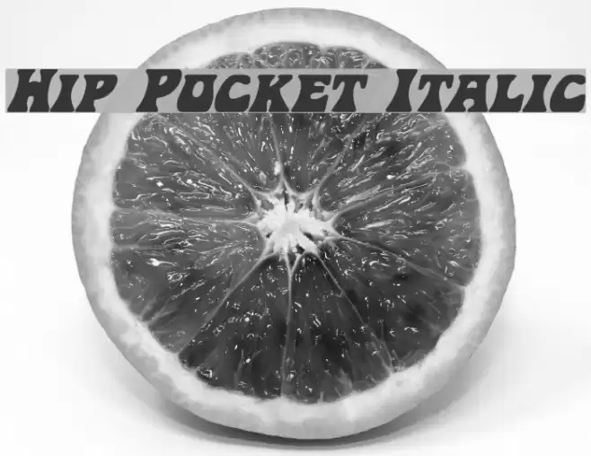 Hip Pocket Italic フォント examples