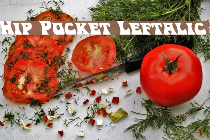 Hip Pocket Leftalic Font examples