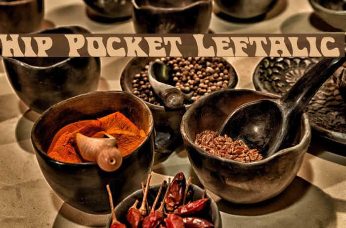 Hip Pocket Leftalic Font examples