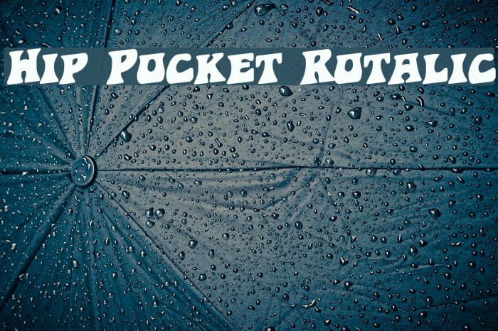 Hip Pocket Rotalic Font examples