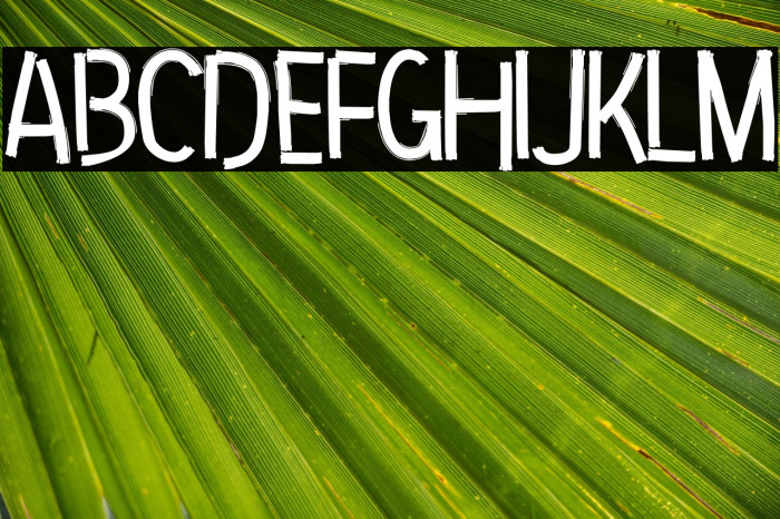 Hip Priest Example 2