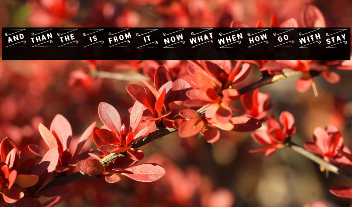 Hipotesis Catchword- Example 1