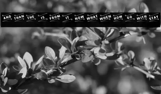 Hipotesis Catchword- Font examples