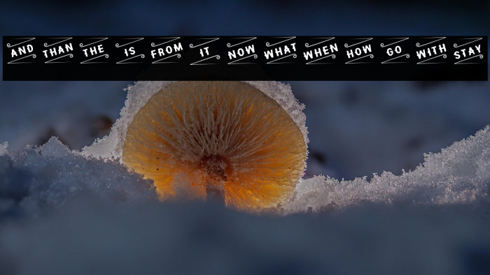 Hipotesis Catchword- Example 3