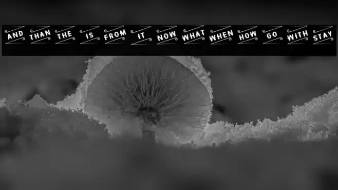 Hipotesis Catchword- Font examples