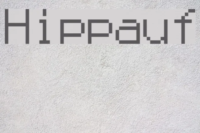 Hippauf Example 3