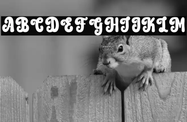 Hippie Moment 字体 examples