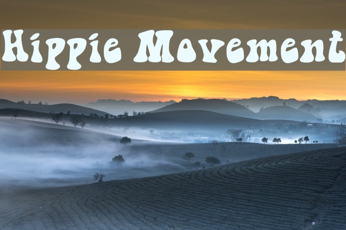 Hippie Movement Example 1