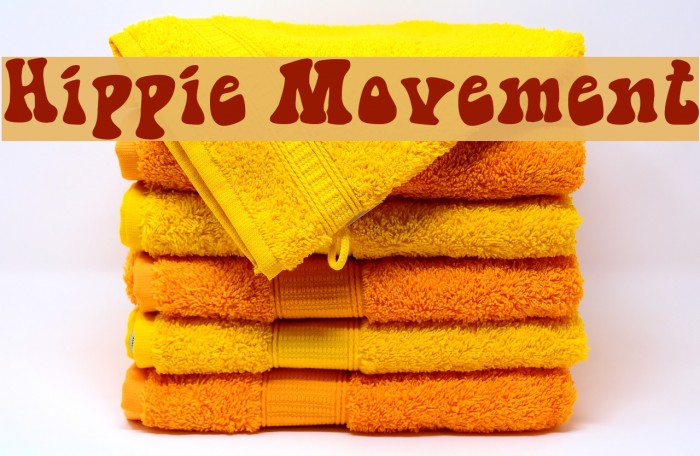 Hippie Movement Example 2
