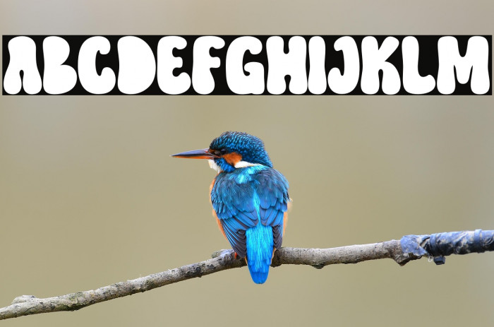 Hippie Retro Example 2