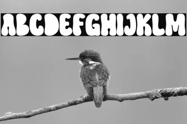 Hippie Retro Font examples