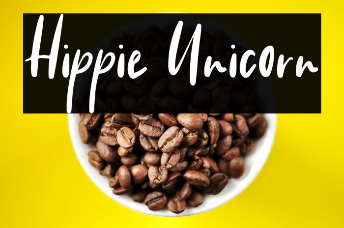 Hippie Unicorn Example 1