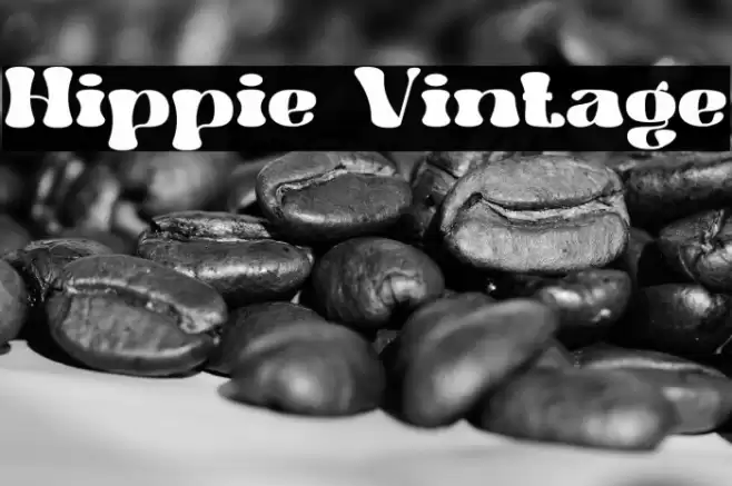 Hippie Vintage Font examples