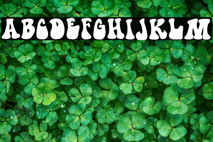 Hippie movement Example 1