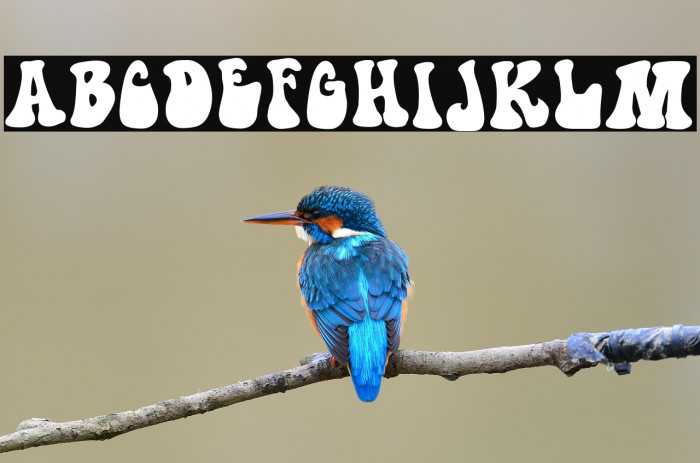 Hippie movement Example 3