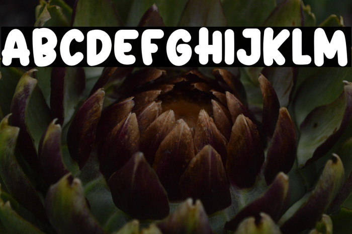 Hippo PERSONAL USE ONLY! Example 2