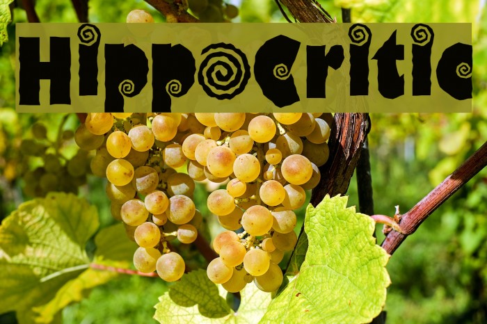 HippoCritic Font examples
