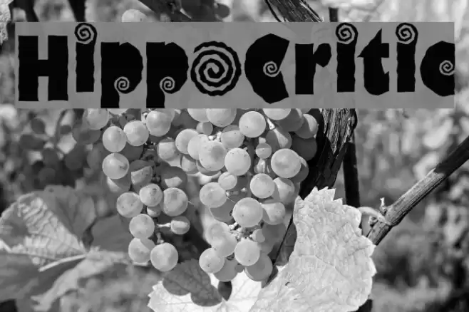 HippoCritic Fonte examples