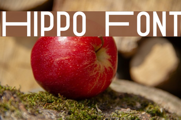 Hippo Font examples