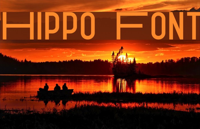 Hippo Font examples