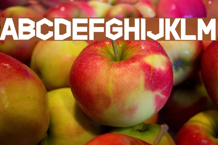 Hippopotamus Apocalypse Example 1