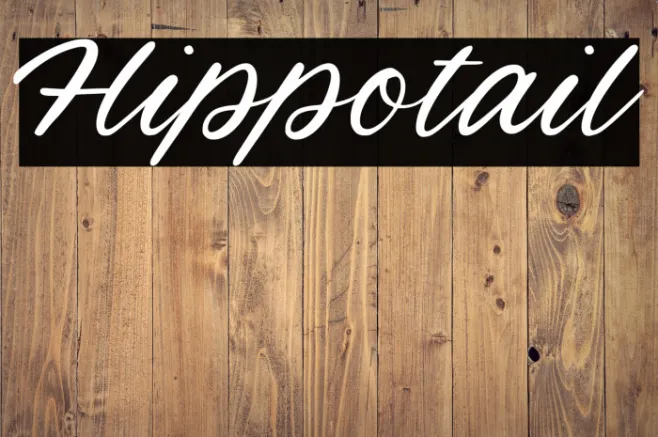 Hippotail Example 2