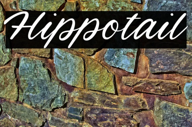 Hippotail Example 3