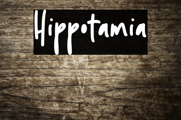 Hippotamia Example 1