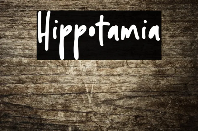 Hippotamia Example 1