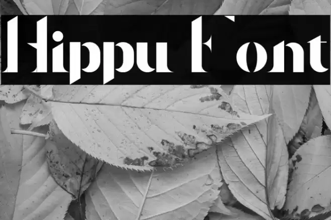 Hippu Font examples