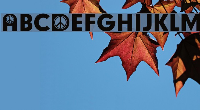 Hippy Participants Font examples