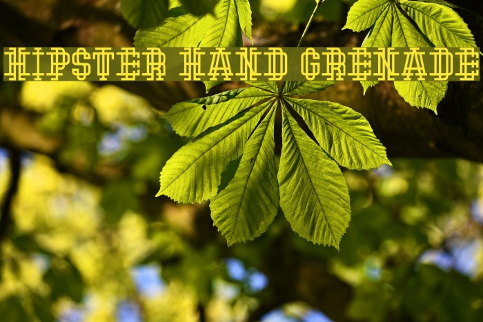 Hipster Hand Grenade Font examples
