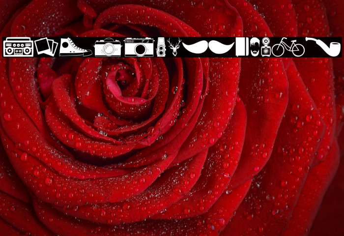 Hipster Icons Example 3