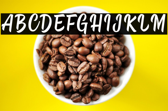 Hipster Salter Example 2