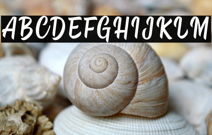 Hipster Salter Example 3