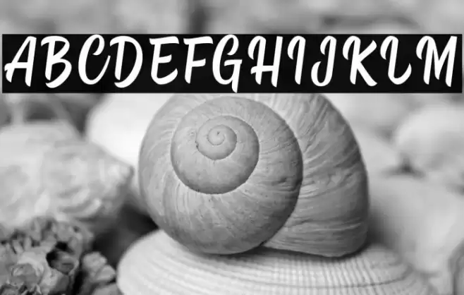 Hipster Salter Font examples