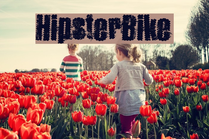 HipsterBike Font examples