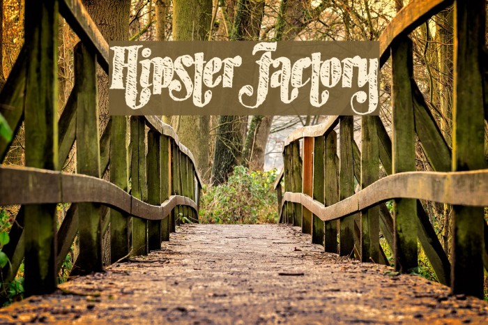 HipsterFactory Example 2