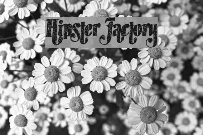 HipsterFactory Font examples
