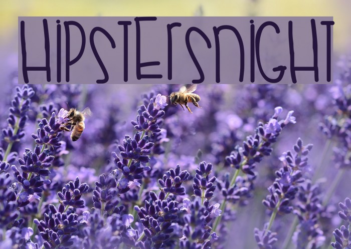 HipstersNight Font examples