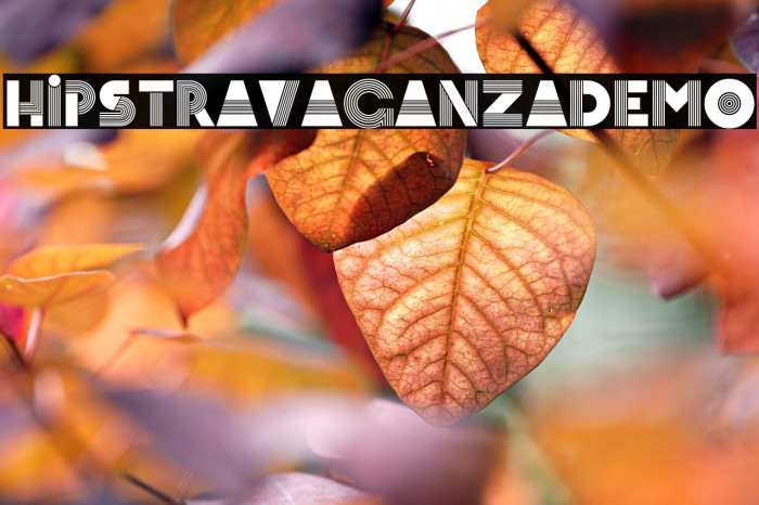 Hipstravaganza-Demo Example 2