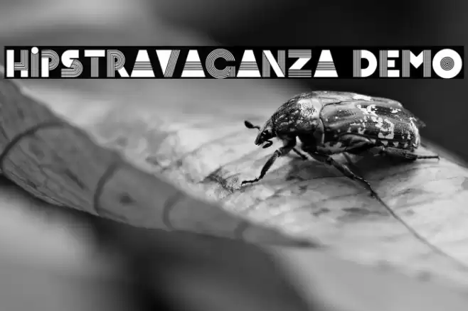 Hipstravaganza Demo Font examples