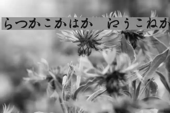 Hiragana Regular Fuentes examples