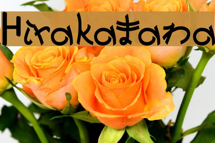 Hirakatana Example 3