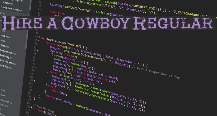 Hire a Cowboy Regular Example 1